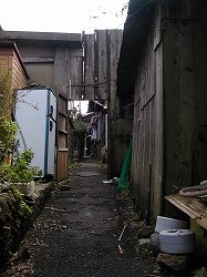 20061012okishima (6).jpg